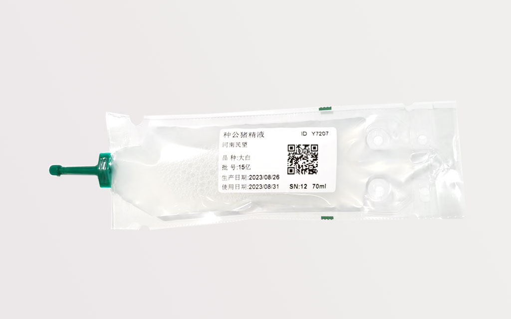 種母豬（大白、長(zhǎng)白）